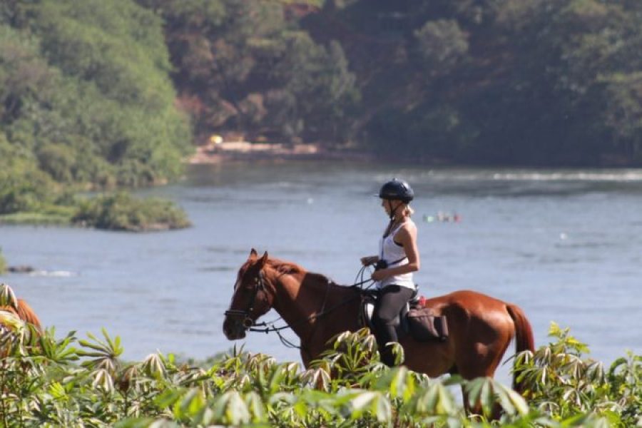Horse Riding – Explore Jinja’s Scenic Trails